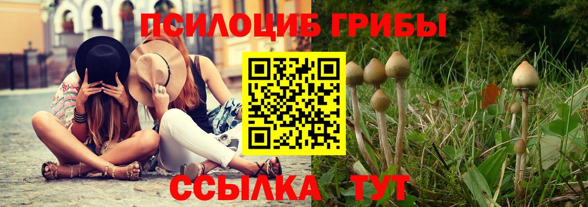 Псилоцибиновые грибы Psilocybe  Вход с VPN  Саянск 