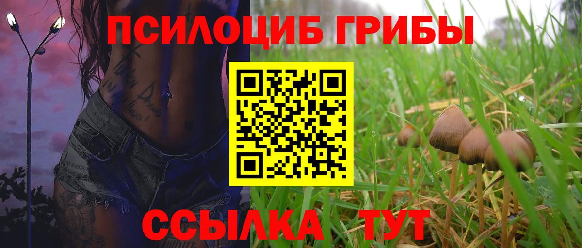 Псилоцибиновые грибы MAGIC MUSHROOMS Саянск